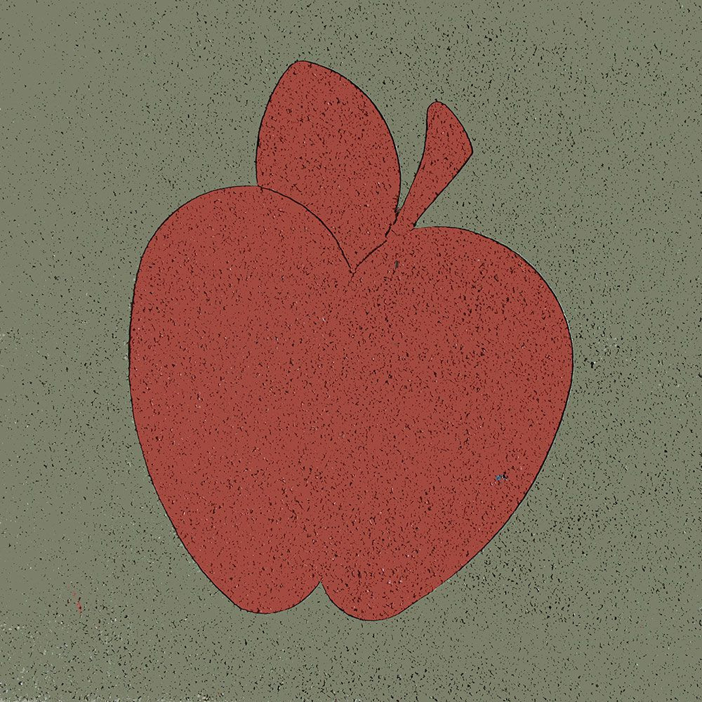 Karo Kauçuk Desenli Zemin Kaplaması